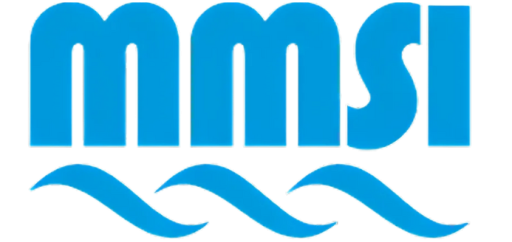 logo MMSI Group