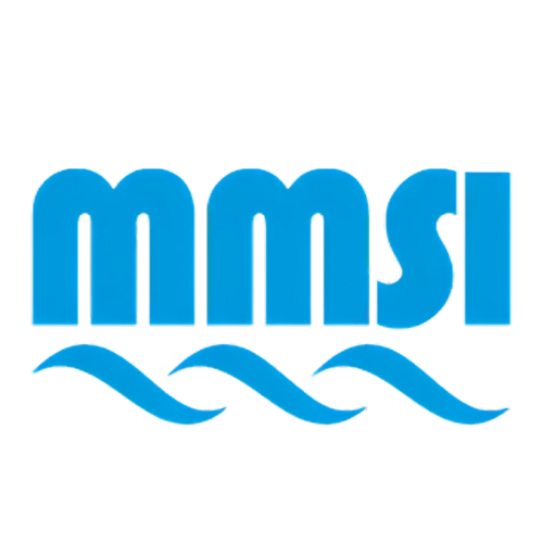 logo MMSI Group